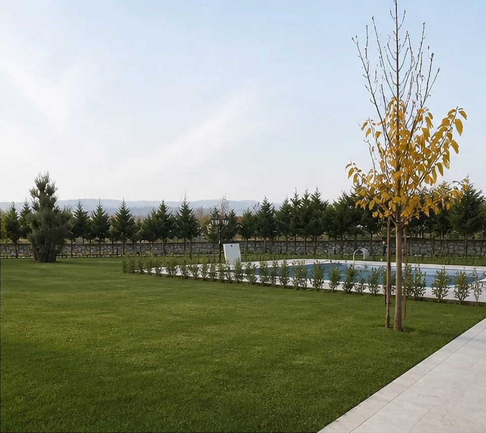 Çatalca Kabakça villa bahçesinde havuz çevresi çim alan ve genç ağaçlar