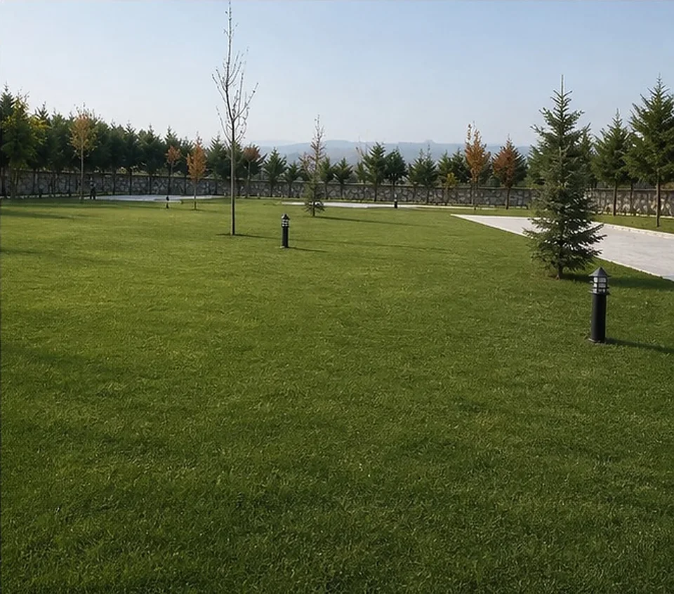 Çatalca Kabakça villa bahçesinde geniş çim alan ve çam ağaçları